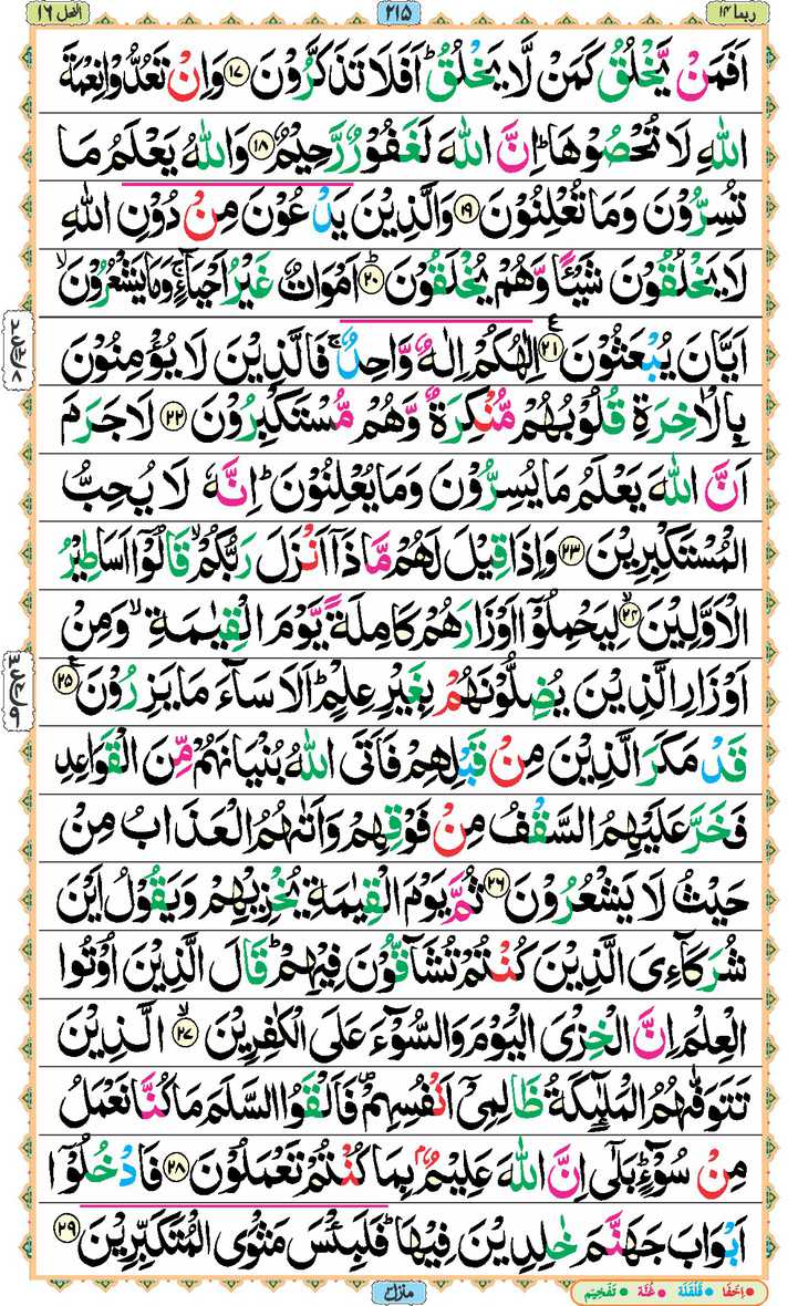 Page - 215