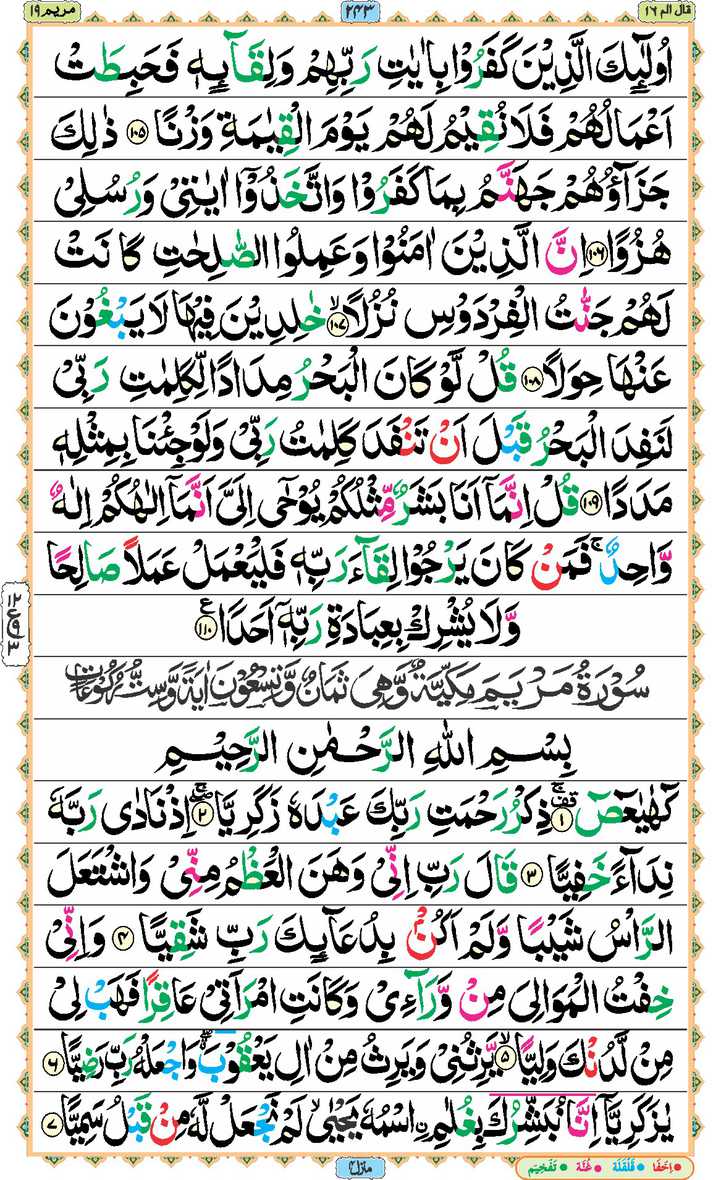 Page - 243