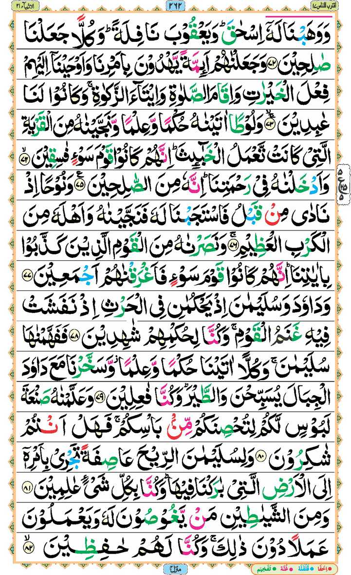 Page - 262