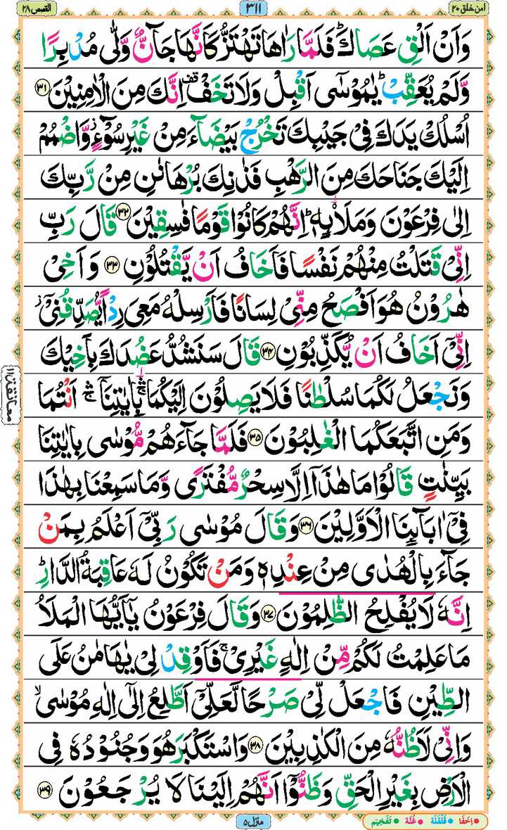 Page - 311