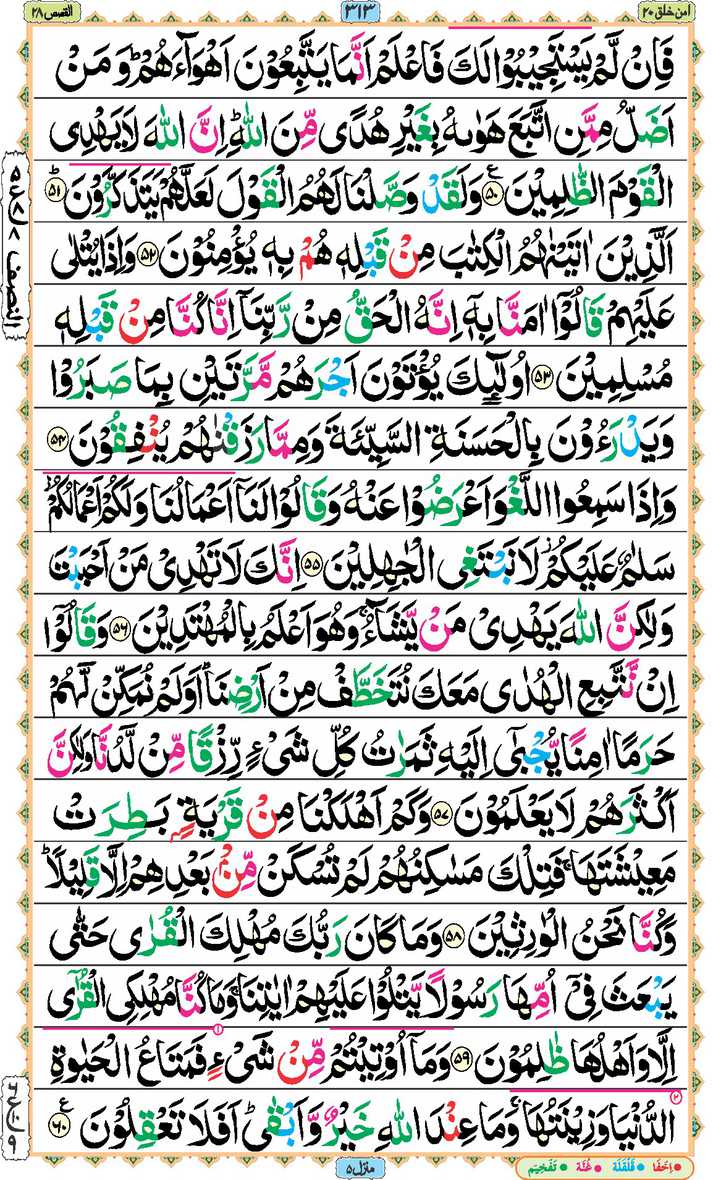 Page - 313