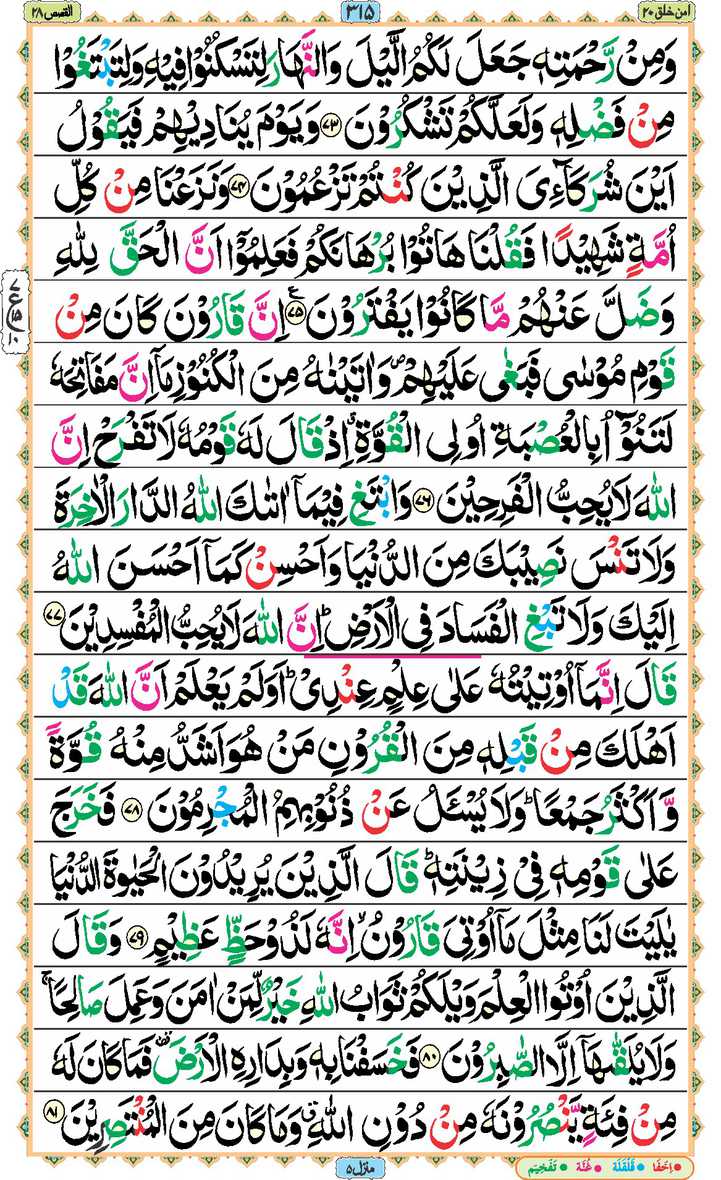 Page - 315