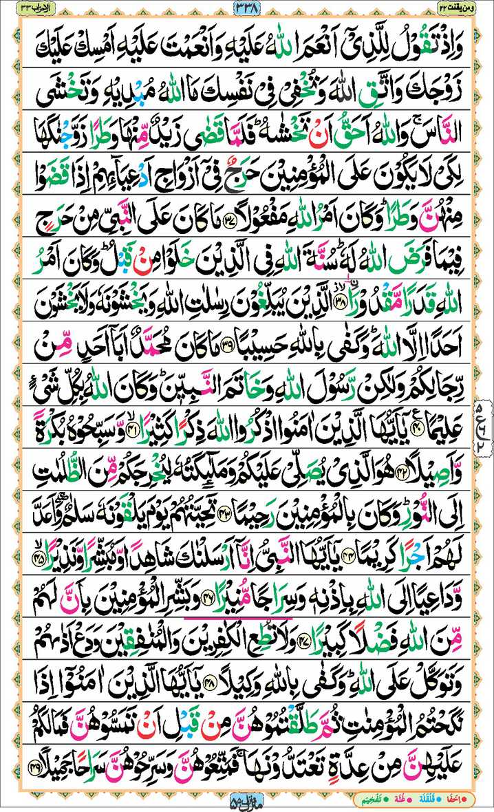 Page - 338