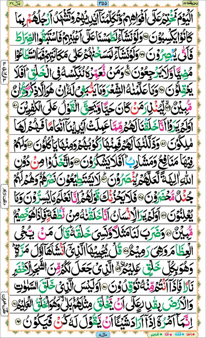 Page - 355