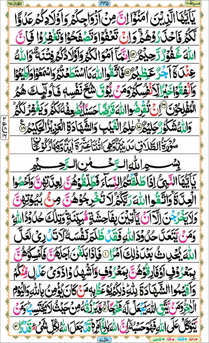 Page - 445