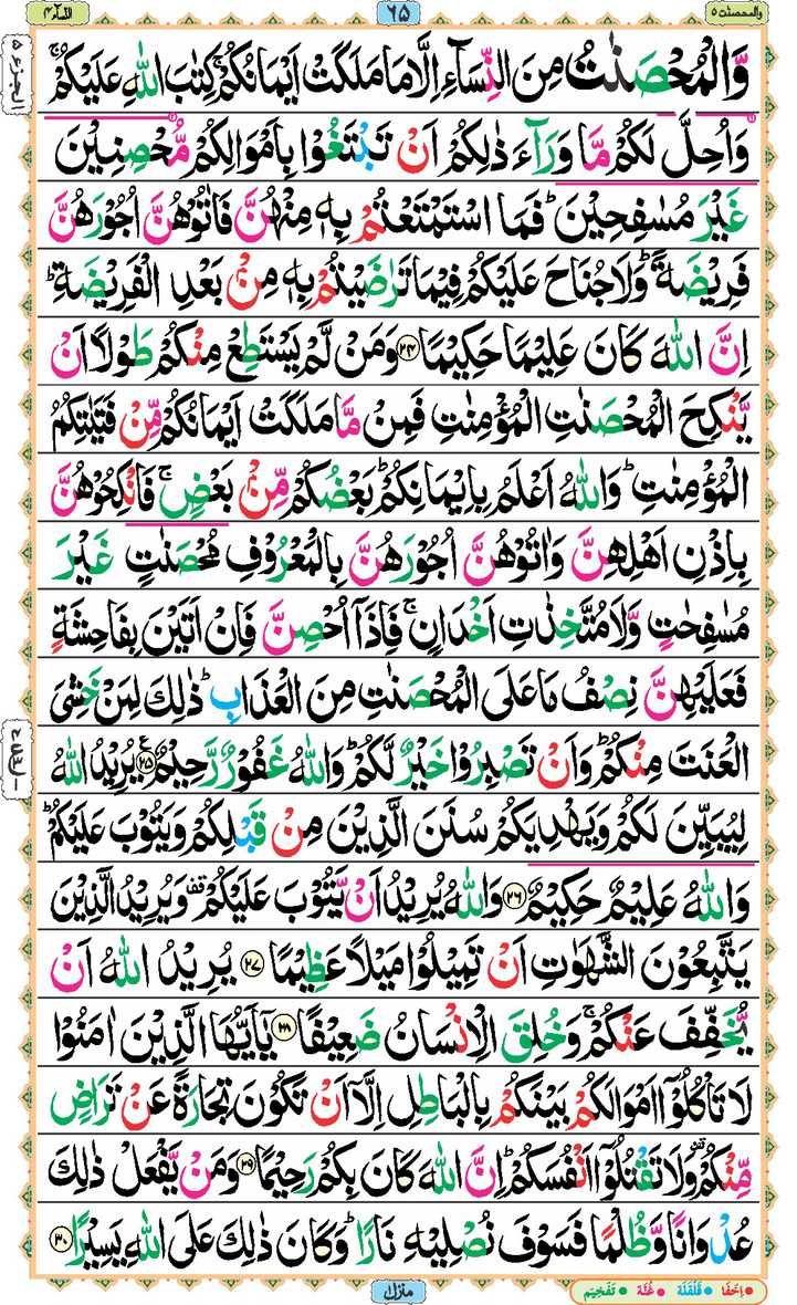 Page - 65